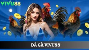 Đá gà Vivu88