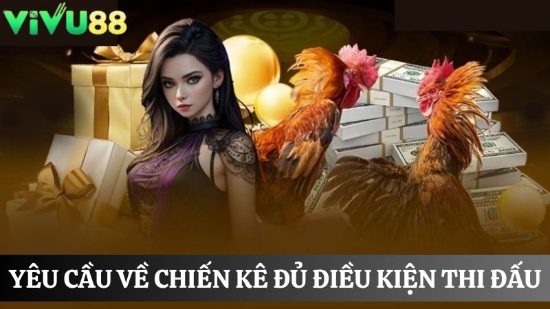 chiến kê đủ điều kiện tham gia Đá gà Vivu88
