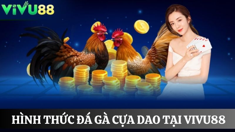Đá gà Vivu88 cựa dao