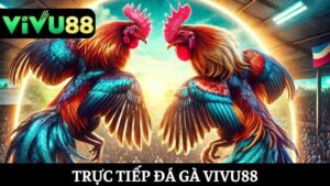trực tiếp đá gà Vivu88