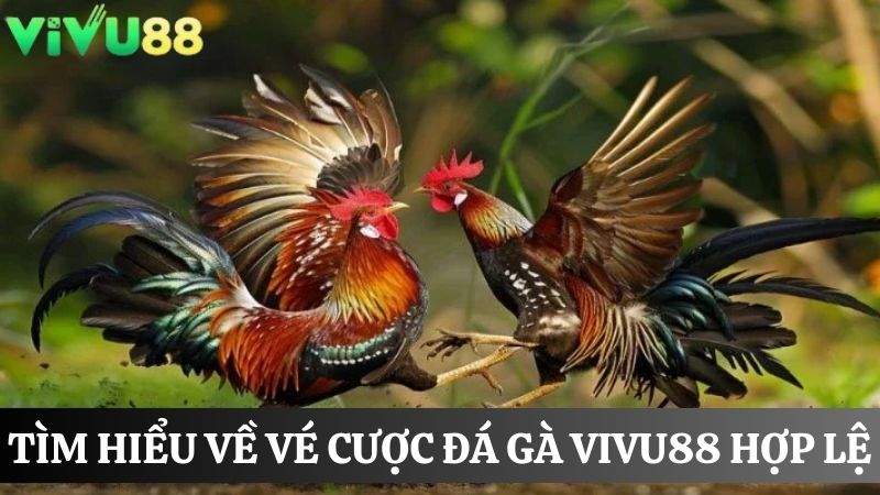 Vé cược Đá gà Vivu88